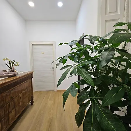 Apartmán Max *